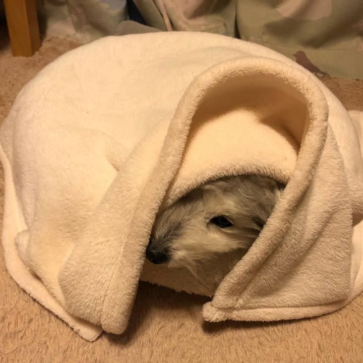 E957e98d 3f2d 4962 9fc0 db12897f605c 1706859909287