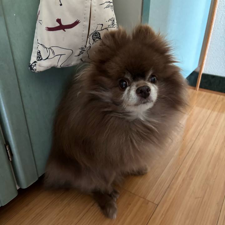 E957fec1 bc9c 496d bf9d f915045b37c5 1750109913034