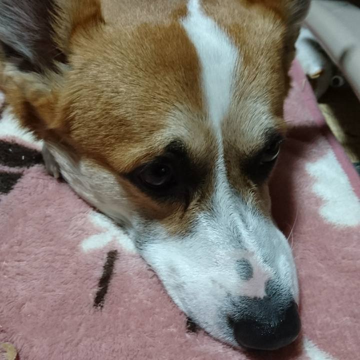 E958252a 8928 4657 b4bc dbb7792e6542 1578217413626