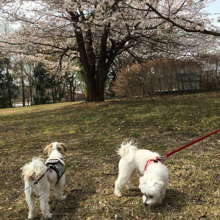 E95834f2 94b0 43b5 9277 69f31b26add2 1554613407597