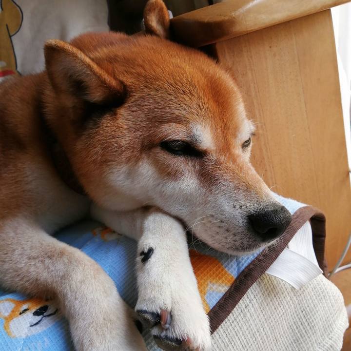 E9584a9b 0b64 4d82 b013 b341ac694c9f 1656579874091