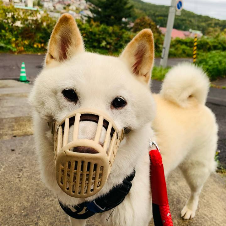 E958613e c1a4 473f b45a 49d8638bb3c1 1664832217728