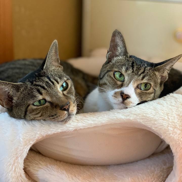 E9586ff5 0b11 4aff a327 7d915f6bcbe9 1540776932757