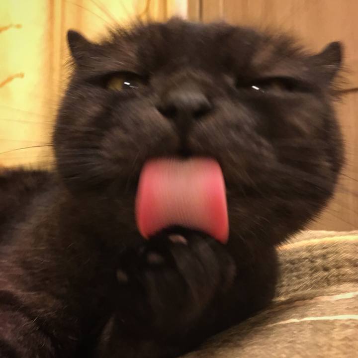 E95878fe 94ae 4890 835f 5736a25caf2b 1528713761218