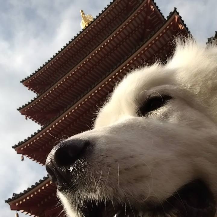 E9587cfc d58f 4e1c 837e 029e3811dd5e 1675837270298