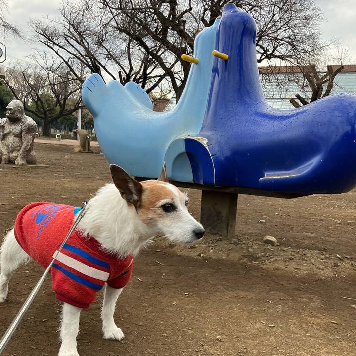 E95887ca ef52 4cdf 9f06 9ec343810220 1674170790766