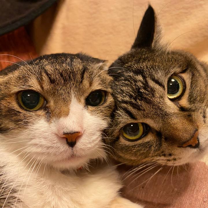 E9588825 c880 45b6 aa91 0086ff709b9b 1607255371609