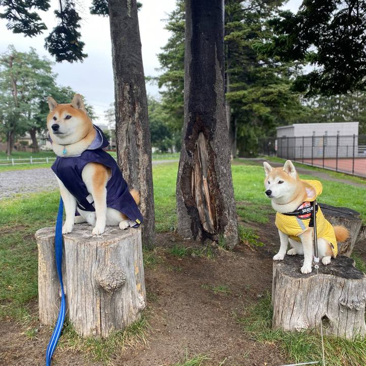 E958a8d5 42f6 429f 8242 d6a133601e8e 1726024696768