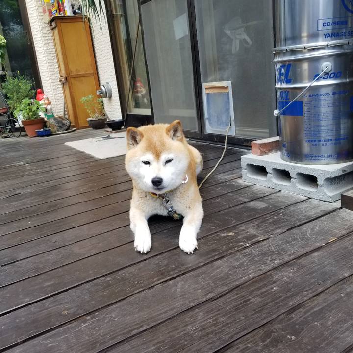 E958b64f f76e 4f47 8546 7346a19e2a21 1687140621794