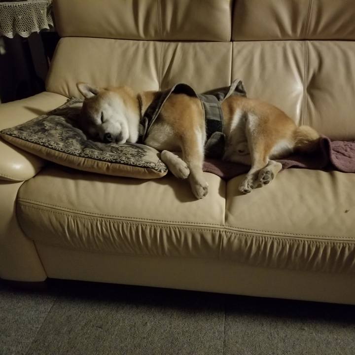 E958b84e 6660 4779 9719 6a90ea14f96b 1646828212410