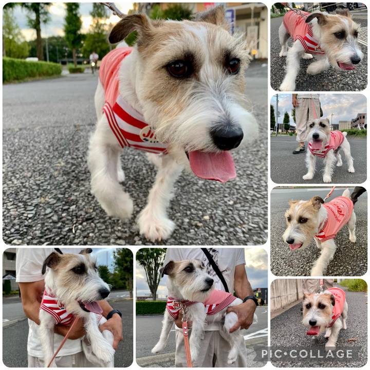 E958d512 d12b 4360 835c 51bc55bb04ea 1661694012410