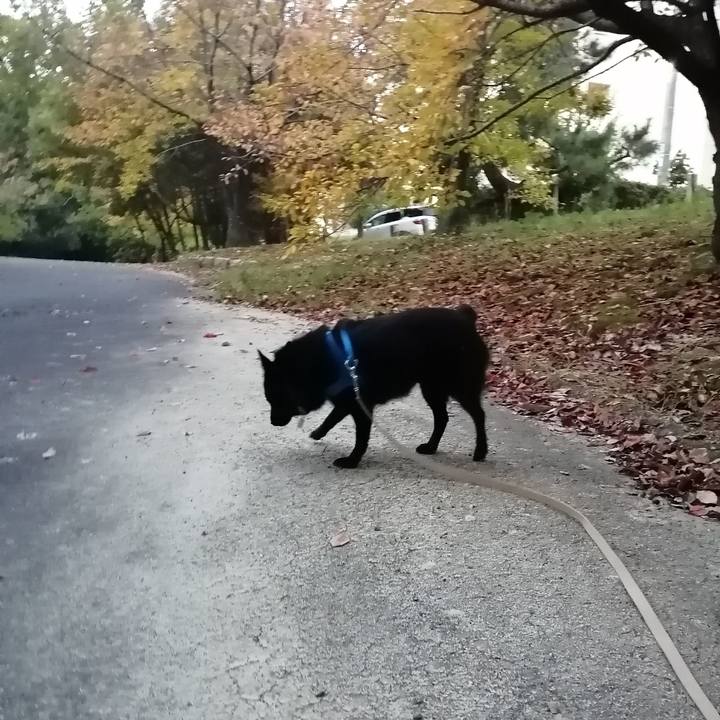 E9593fea d8e7 405c 8134 6f8738b8c0f6 1603833261941