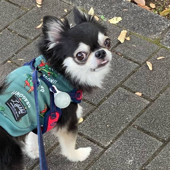 E9596652 01d7 4ab3 9158 d54105033aab 1699111539366