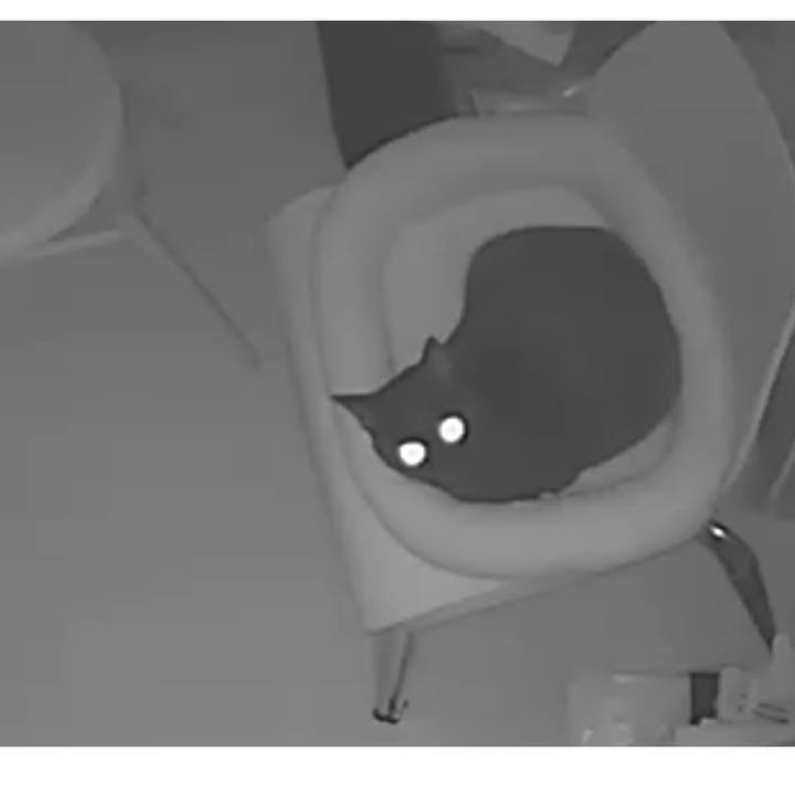 E9597857 eab9 460f a9e8 73a79c4ac76e 1556107392214