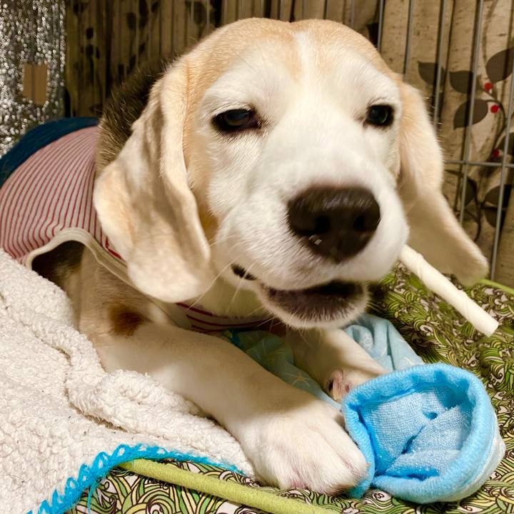 E95982e6 603f 419c 8c88 f75da438a379 1653918489847