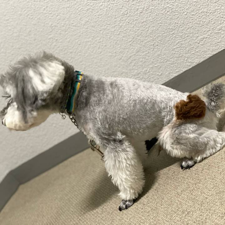 E959ad48 6c2c 4056 a146 39caae7366b6 1648395462892