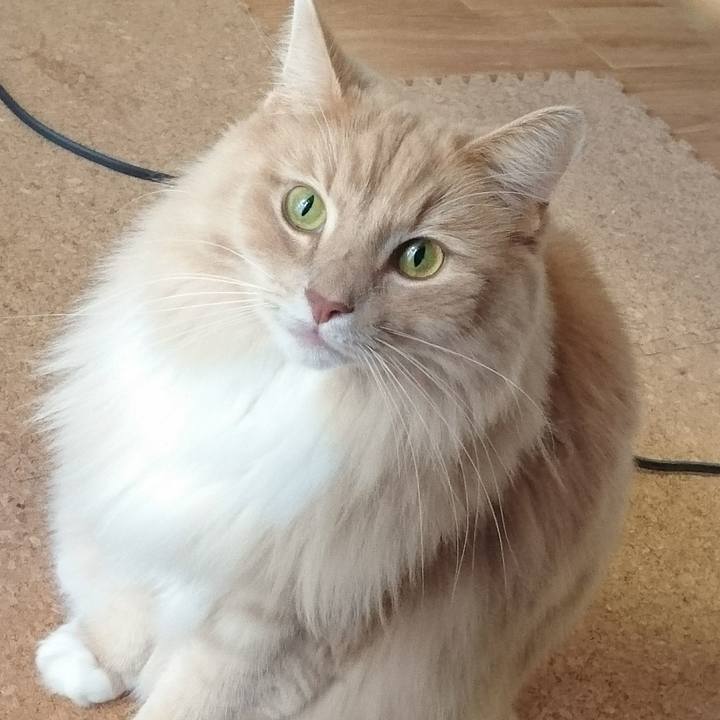 E959b7e0 10c2 4d9e b0a7 41b77f11ef0e 1511745266431