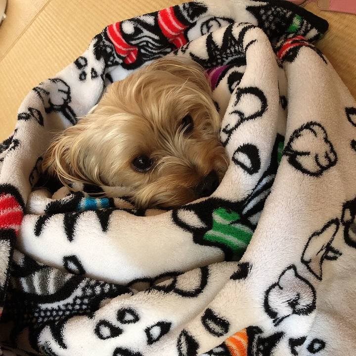 E959de3a dfa9 4ccb 8826 985e390b99a9 1564054011031