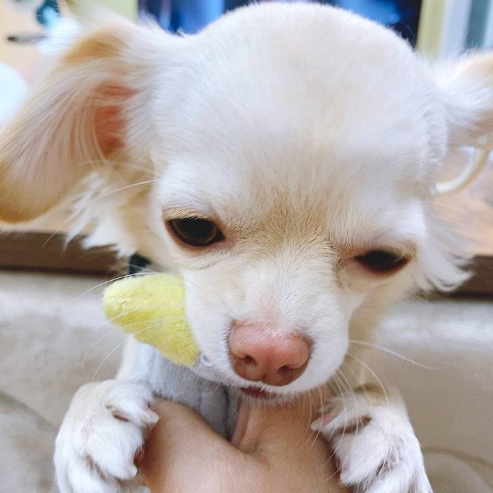 E959ec41 a2aa 4326 b50f 2f1e5e396eb5 1609905136700