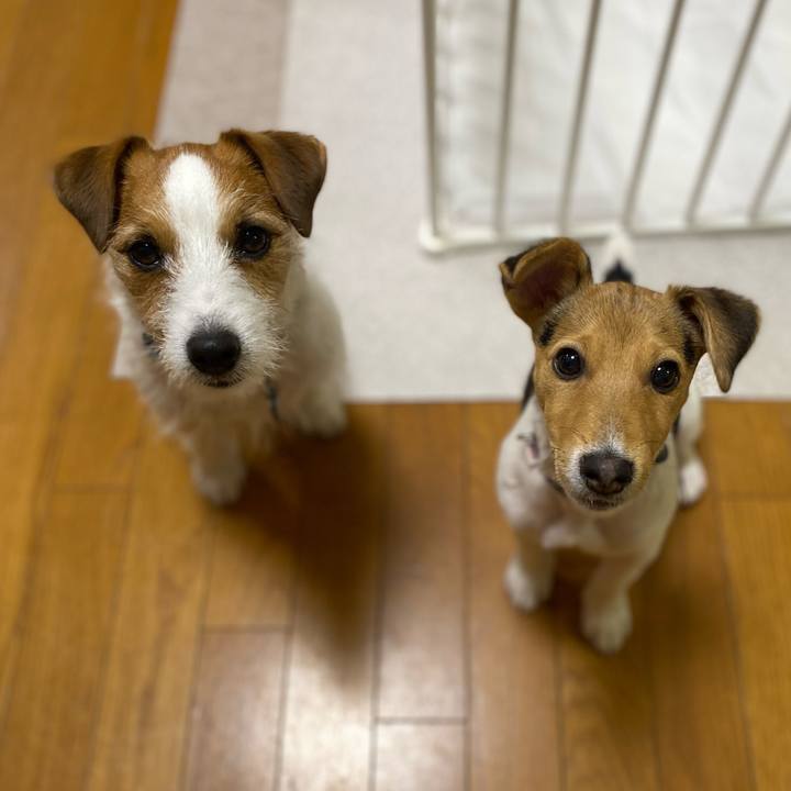 E959fdda 434a 4e10 9dee 900a9eeac73f 1746620833840