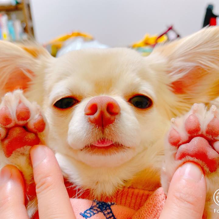 E95a2a3c 6860 41ac b0a2 2356a198de34 1642210571963