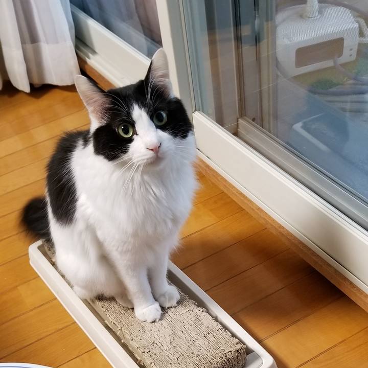 E95a2ea1 8127 40db 967c 6fd129afd063 1546293069026