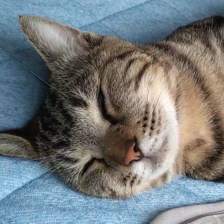 E95a3d5c 9834 4873 9fb4 ac809c209728 1696145512720