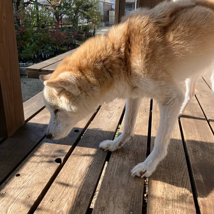 E95a4bf9 9c5e 41b5 be0e 26d7a476df38 1605671879465