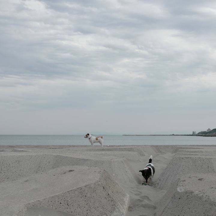 E95a5ccc ba2f 4b71 8317 49363b5b451d 1557115003342