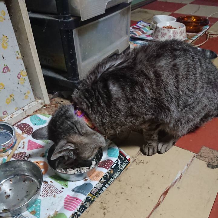 E95a5ebf 9313 4e3a 824b fe24547a95eb 1592384017283