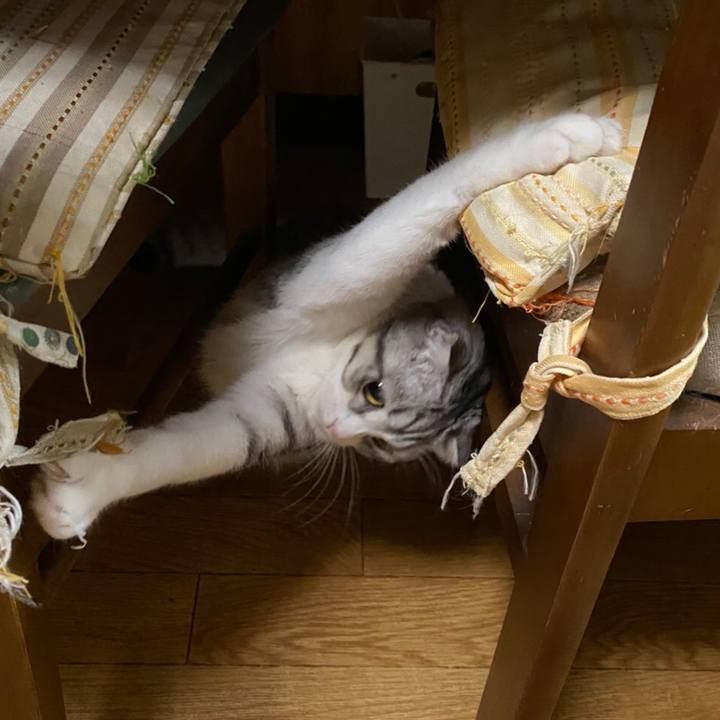 E95a5ed3 4a7c 4ae4 973b 1fa43d73e4b1 1621917090312