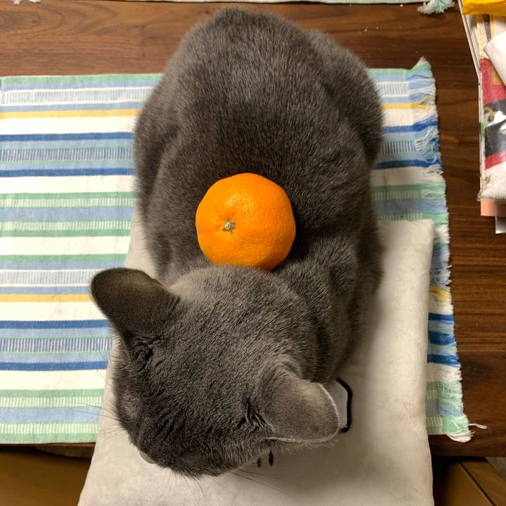 E95a9e8d 2f4f 4e1d 972e 3e195ec3e29c 1609296946881