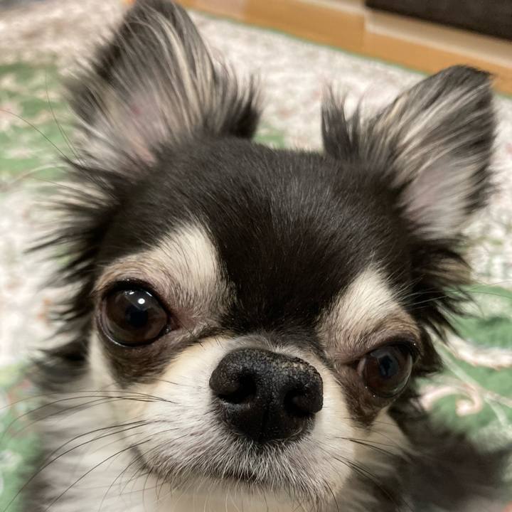 E95ad4ea ef9a 4488 acf4 a749c61799b6 1651758506894