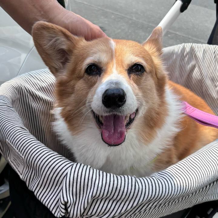 E95ad597 3626 477c b6fe 645a1504fe9c 1743906373615