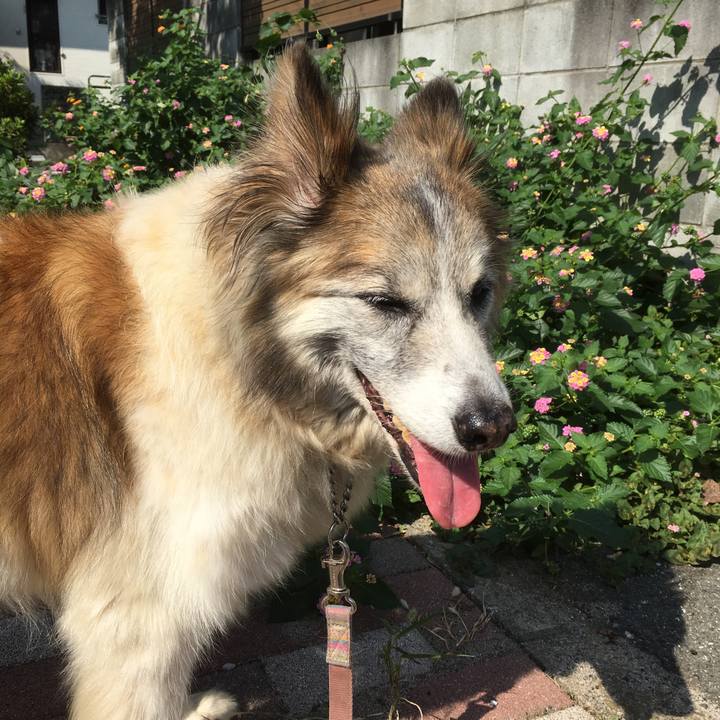 E95b1adb 8322 4ba7 b577 e7cac67f333f 1507771936700