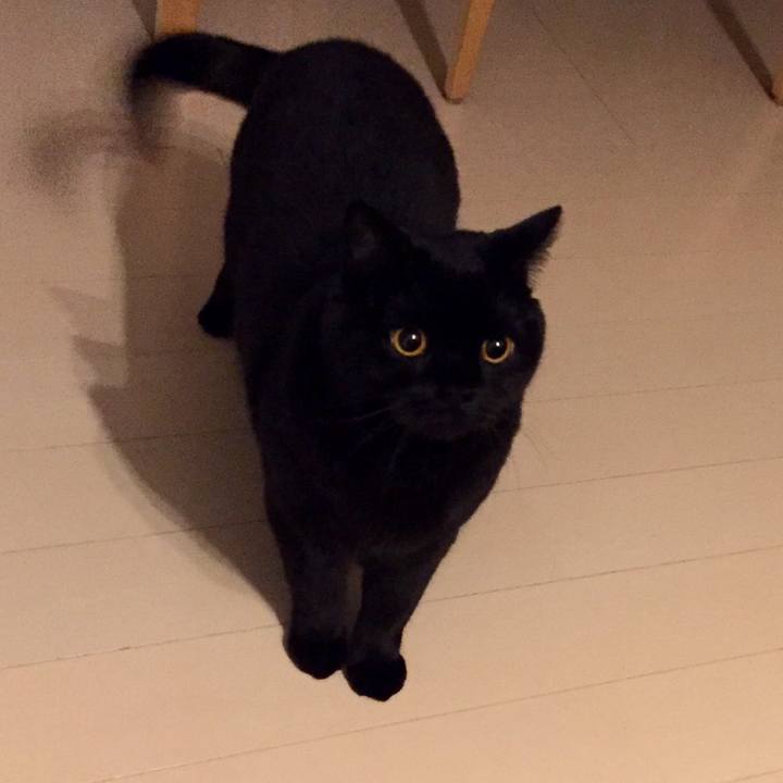 E95b263c 501c 4770 b72d fe985c114106 1573303661983