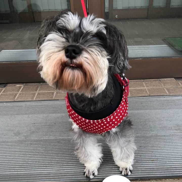 E95b3634 16fb 48de a884 e8314dce5bff 1547306888745