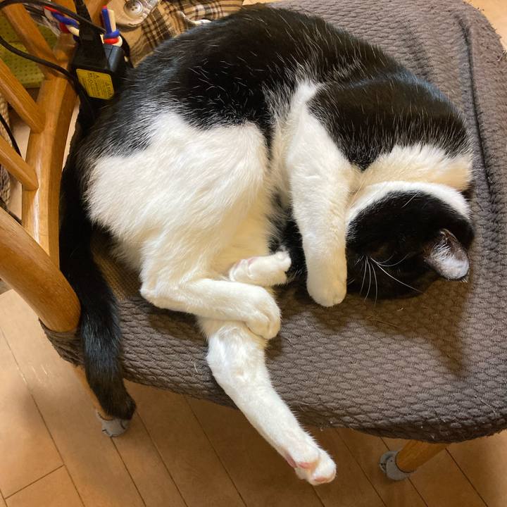 E95b6377 9377 415c 80bd 0e0c5eff5e53 1673511484352