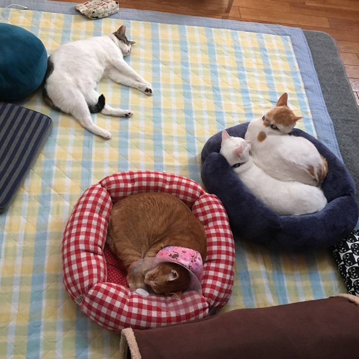 E95bb890 9295 4052 8cd1 6c62aa98576b 1524929689187