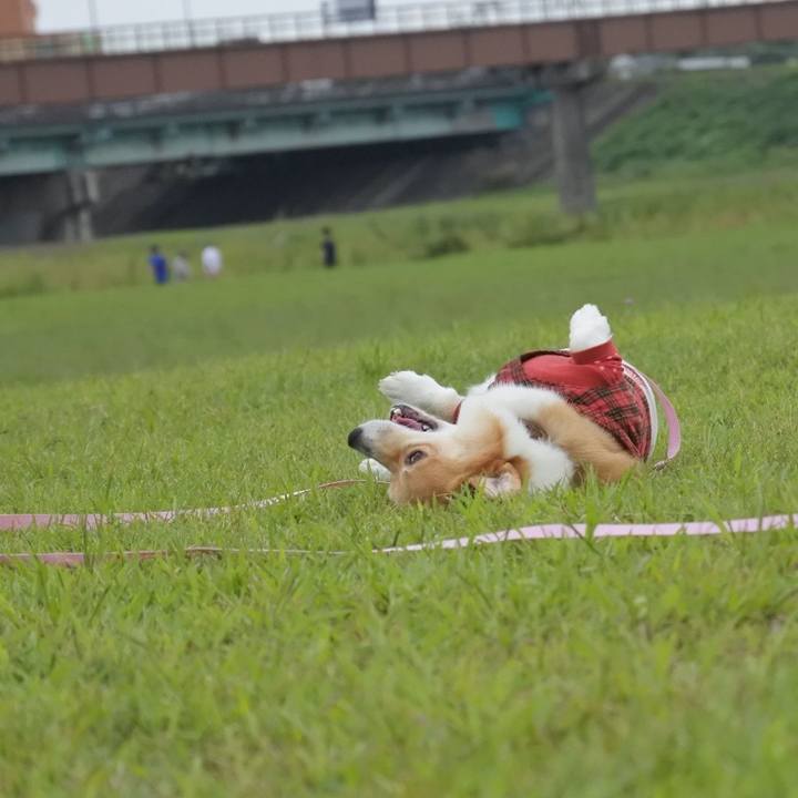 E95be01c 3bcf 45f6 9471 e9efac9743da 1602508302403