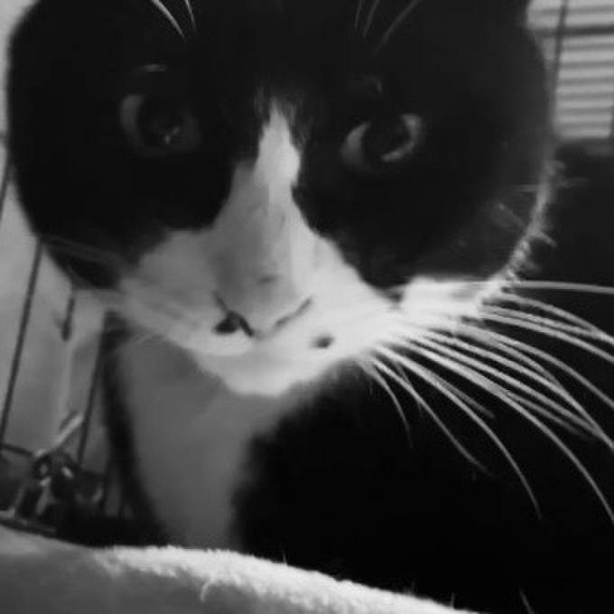 E95be2db 6599 435a afc7 ed03ae95744e 1738662716780