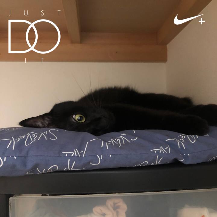 E95be4b1 2db9 4a65 9612 84a428a084b8 1597481449244