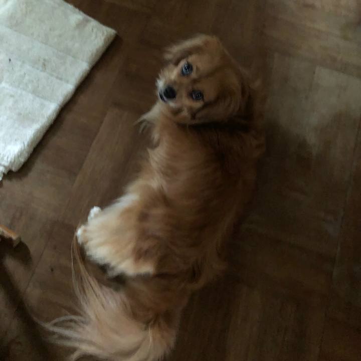 E95beac7 c519 4203 b28d 020eb4e8104d 1561856094890