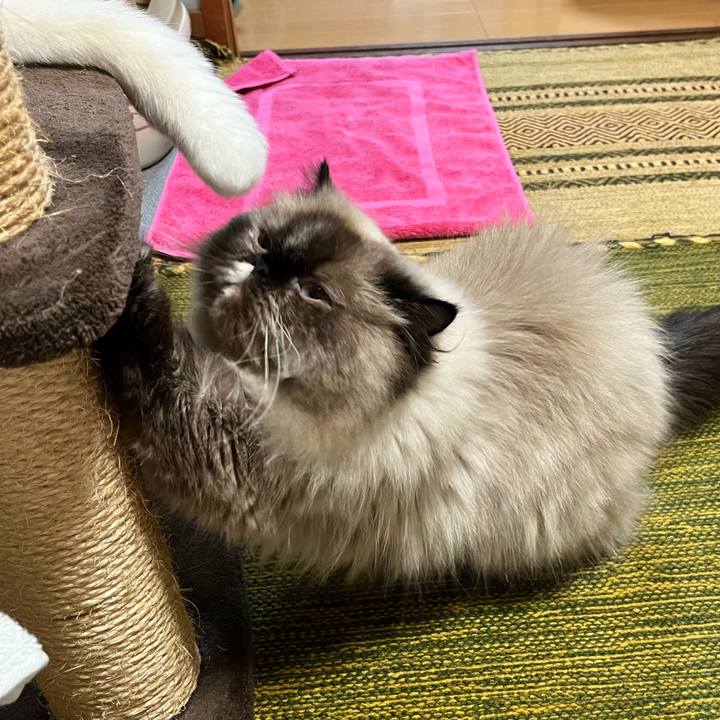 E95c231a c24e 4822 a2e4 bd711dc3fd05 1662987133228