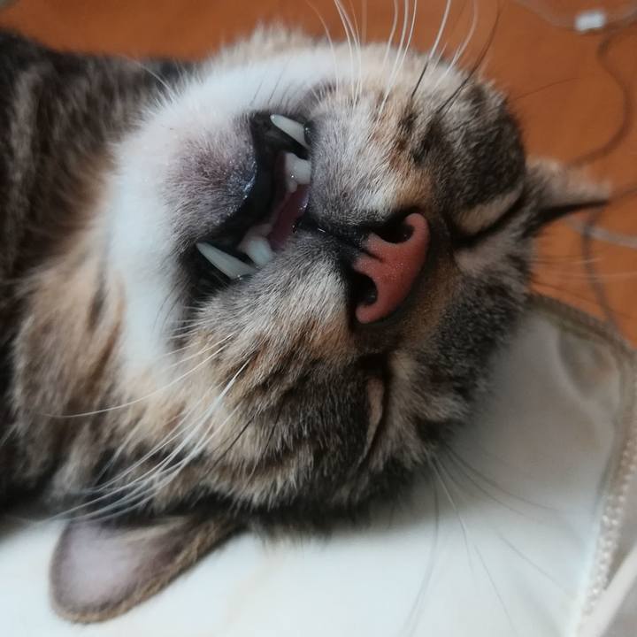 E95c8053 2c4e 432d a9b2 3b4acbdf273e 1563197919713