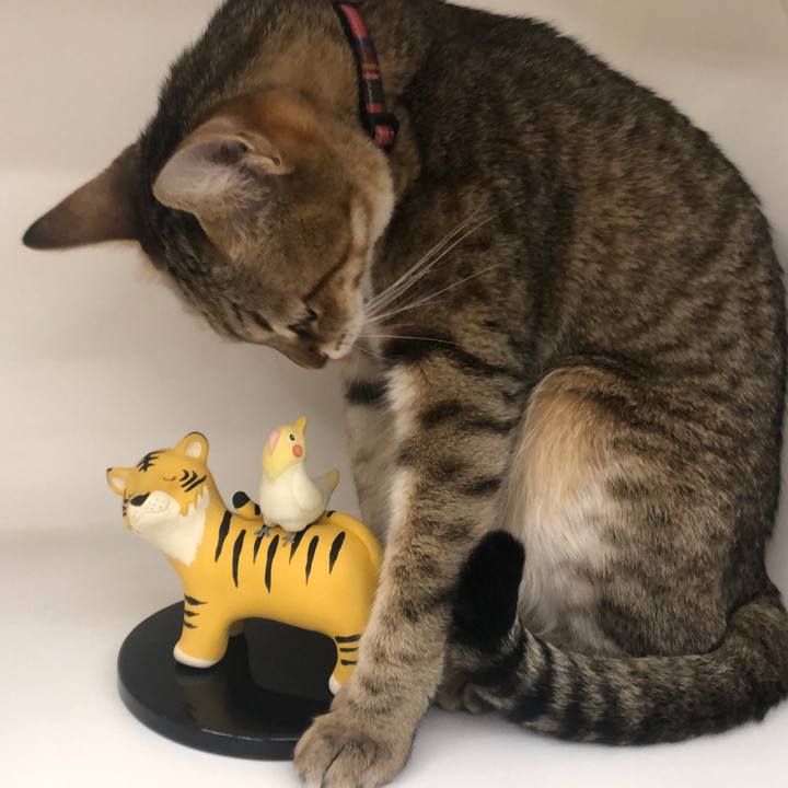 E95c893b 081d 4ac3 8c34 0cd1e861a620 1643079606081