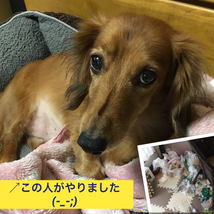 E95c9192 e2c4 45a1 83bc 9ce85b7882bc 1508678095225