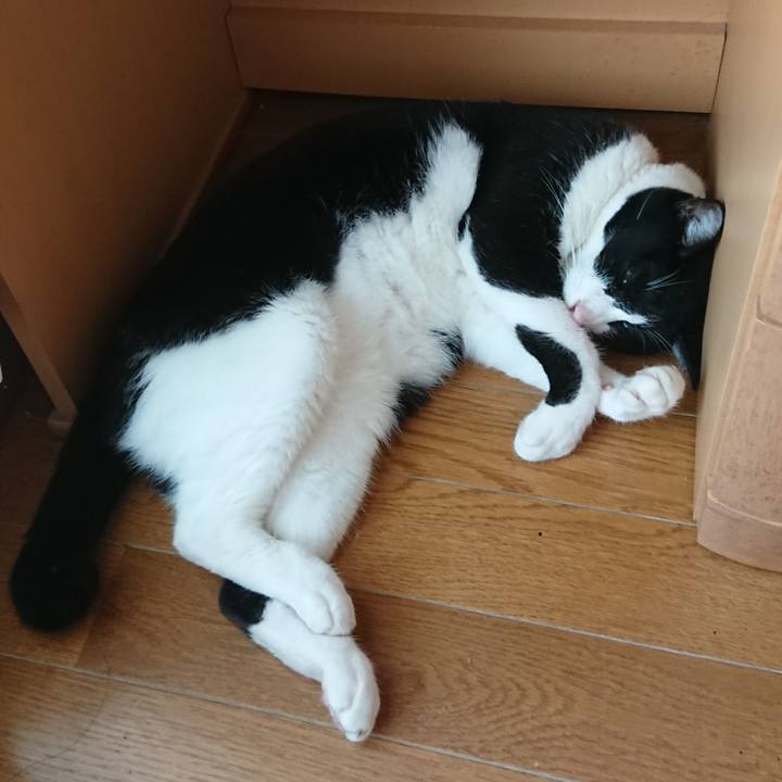 E95ca2c0 6e83 4f95 9178 80fba1c72c94 1598165484825