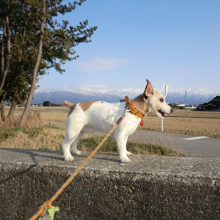 E95cb633 c39c 4b35 acfc bc7a48b011e8 1583059130538