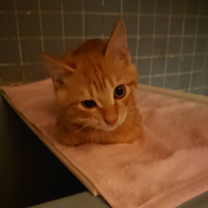 E95cbd7f 6c56 47ac aab4 689a1ec98704 1633079420283